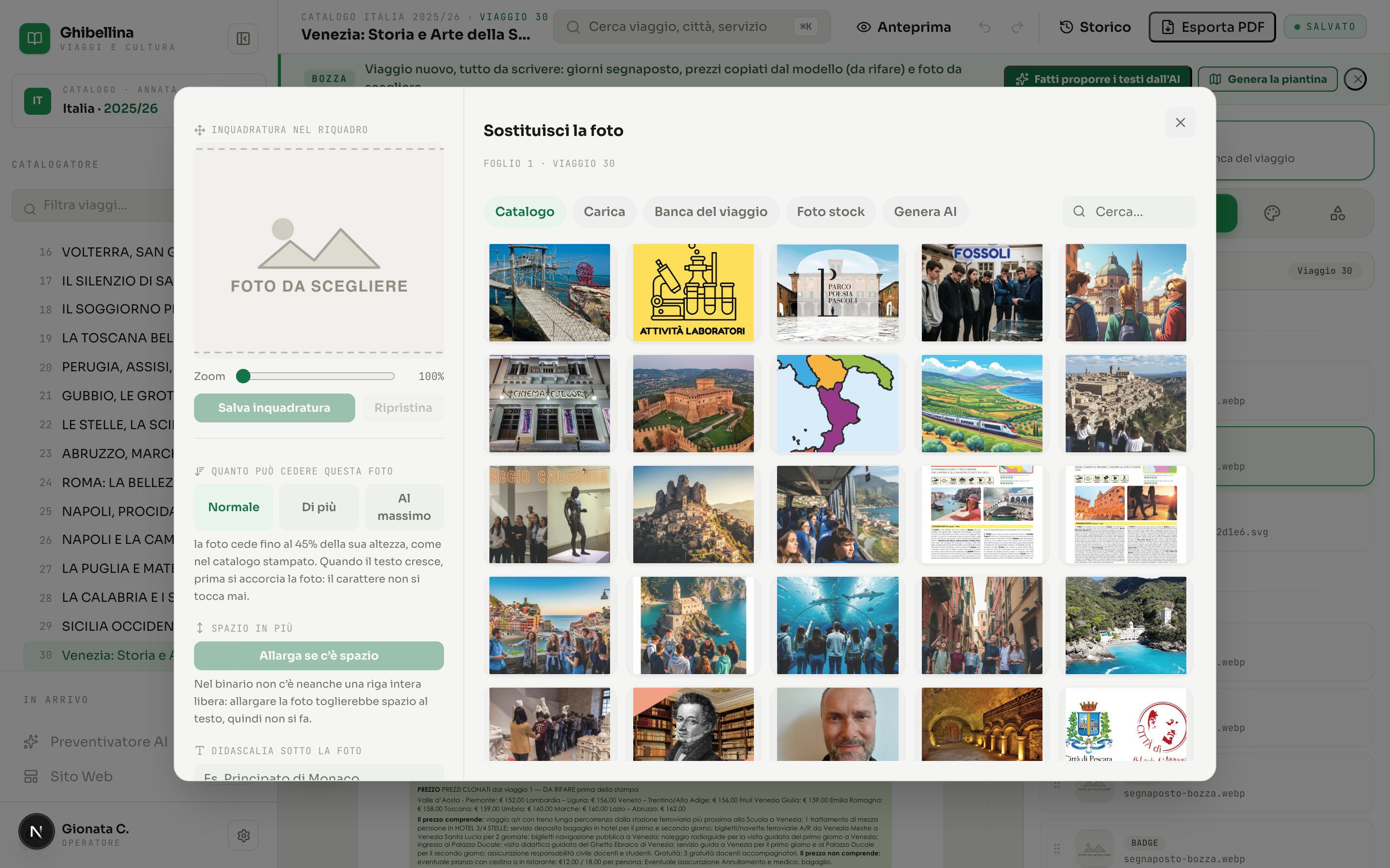 La finestra Sostituisci la foto con la griglia delle foto del catalogo